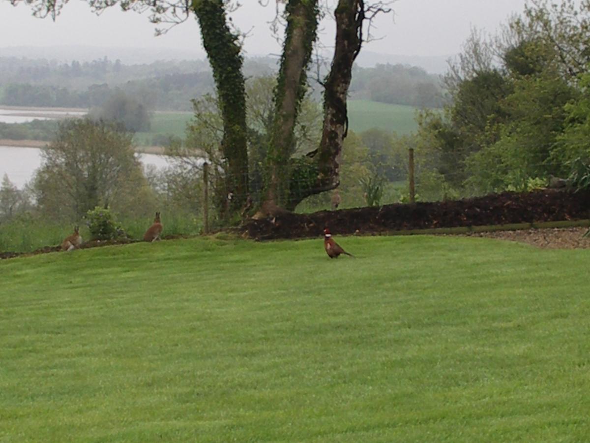 Willowbank House Enniskillen Buitenkant foto
